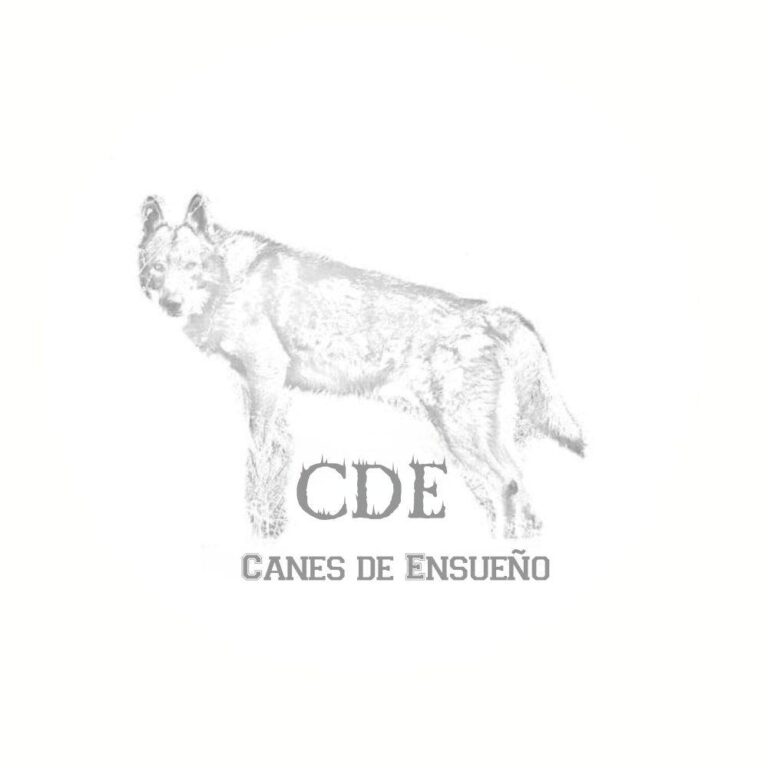 Canes de Ensueño